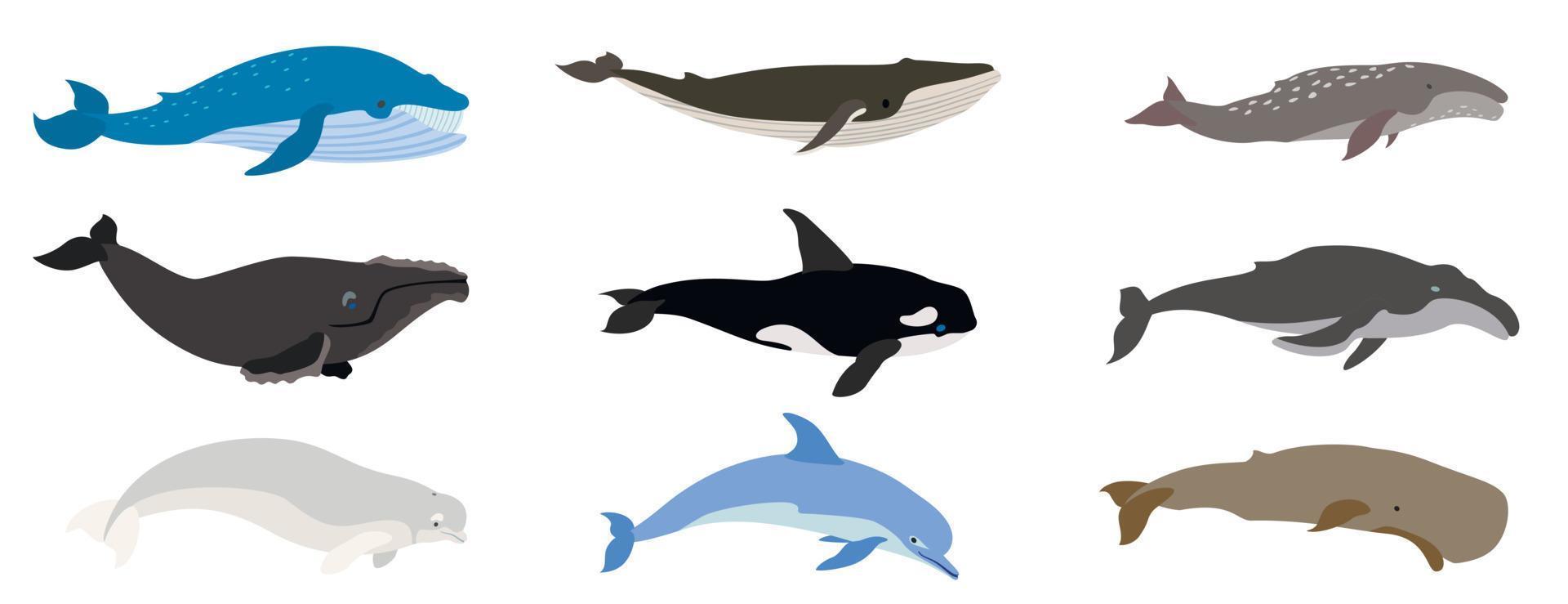 set di icone di balena, stile piatto vettore