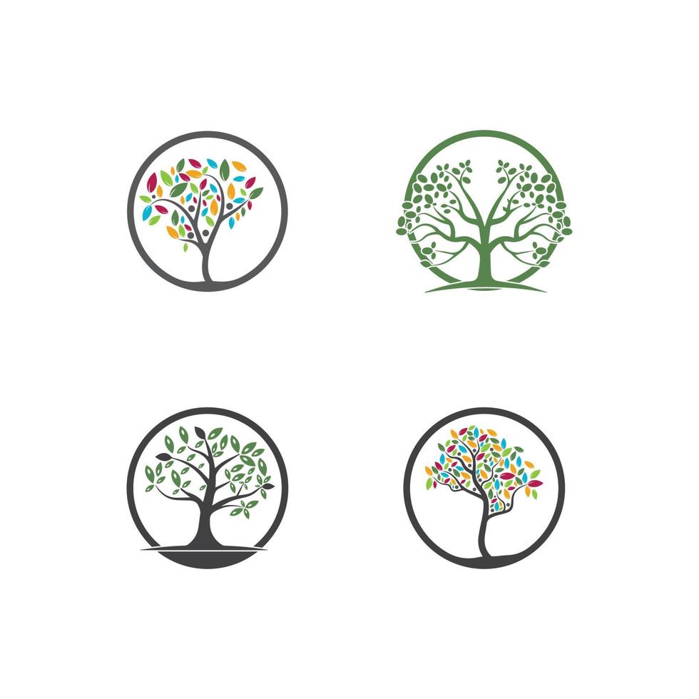 vettore dell'albero, disegnato a mano, illustrazione del modello di progettazione di vettore dell'olivo