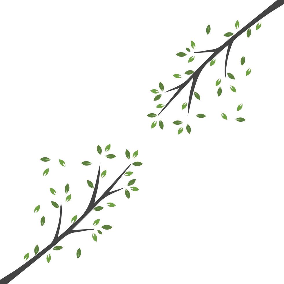 ramo di vettore, illustrazione disegnata a mano del modello di progettazione del ramo di albero vettore