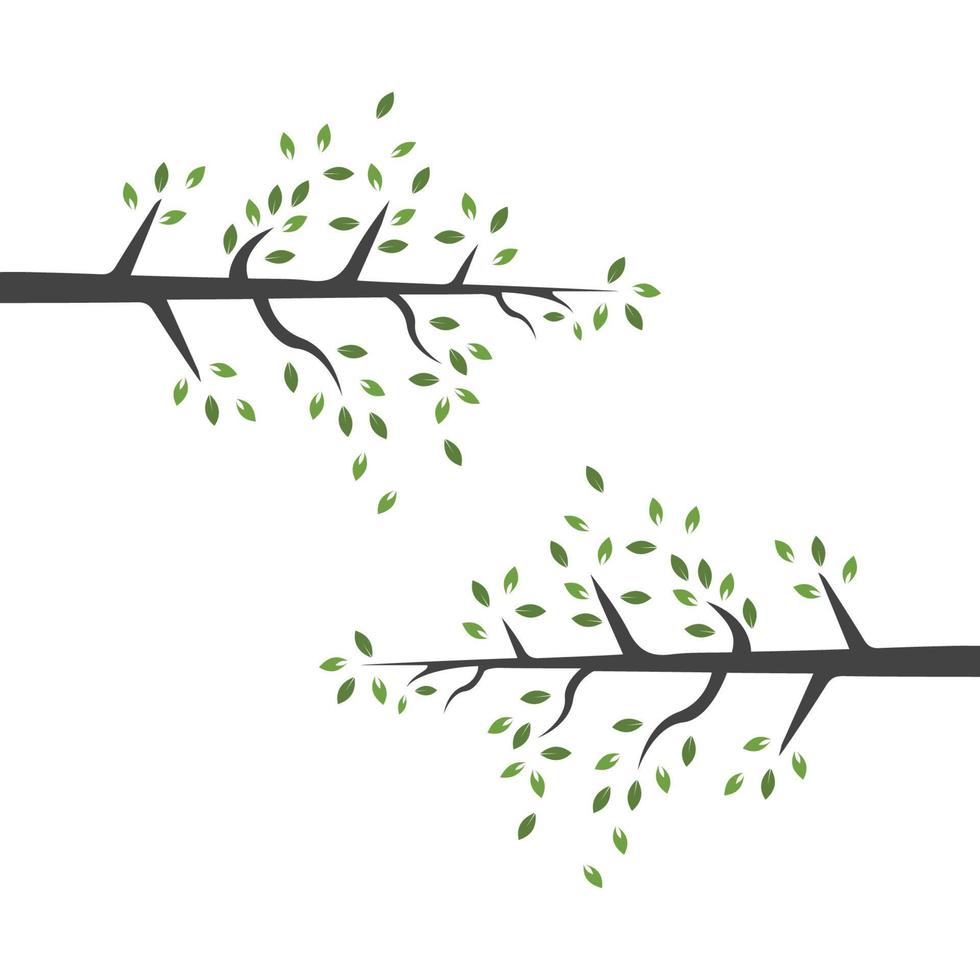 ramo di vettore, illustrazione disegnata a mano del modello di progettazione del ramo di albero vettore