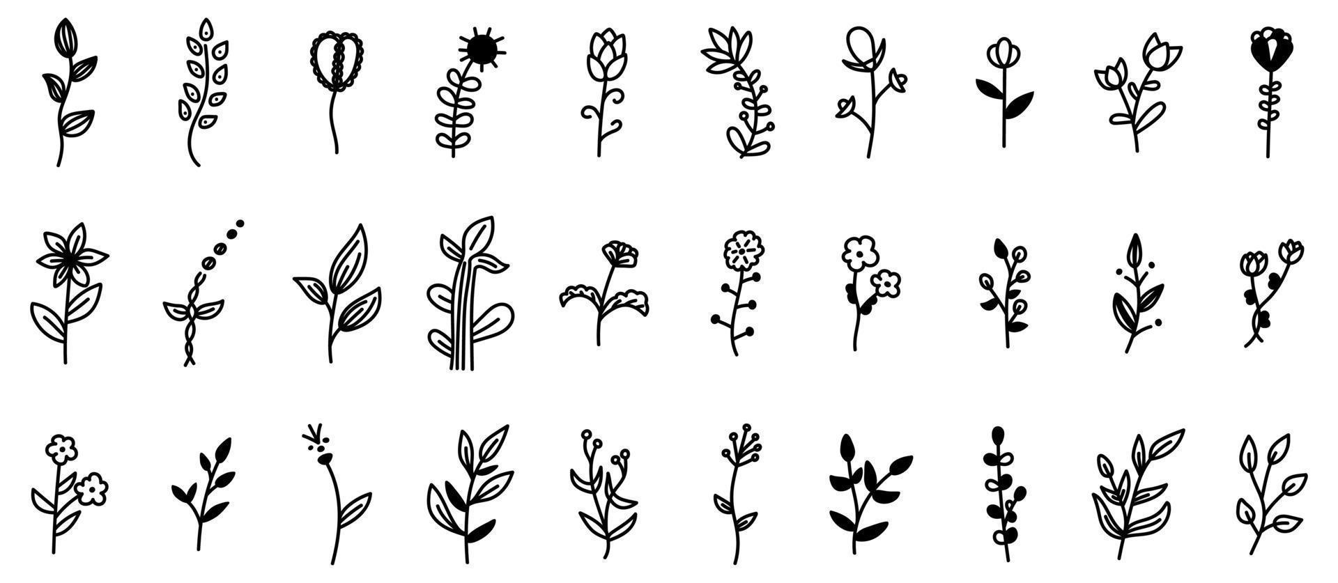 set di fiori e rami di doodle con elementi decorativi di foglie. disegno di illustrazione vettoriale floreale e botanico, elementi isolati disegnati a mano.