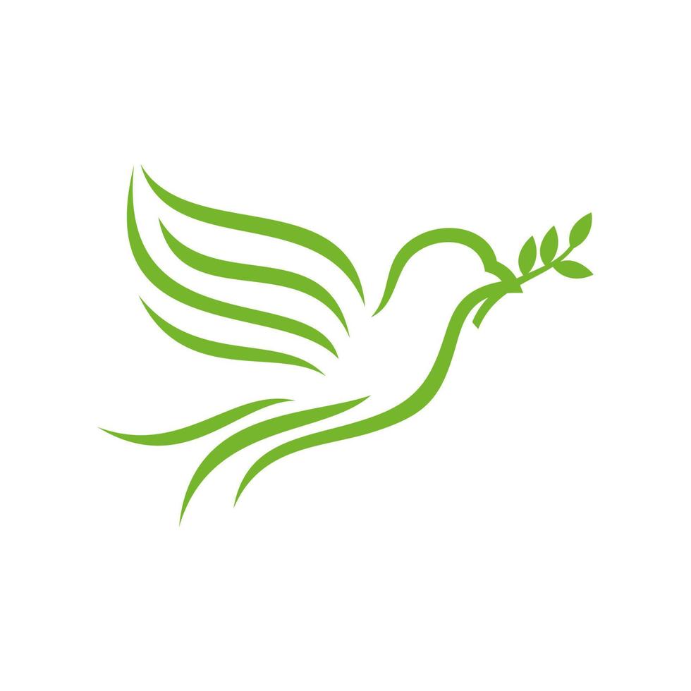 colomba uccello vettore logo stock modello vettoriale