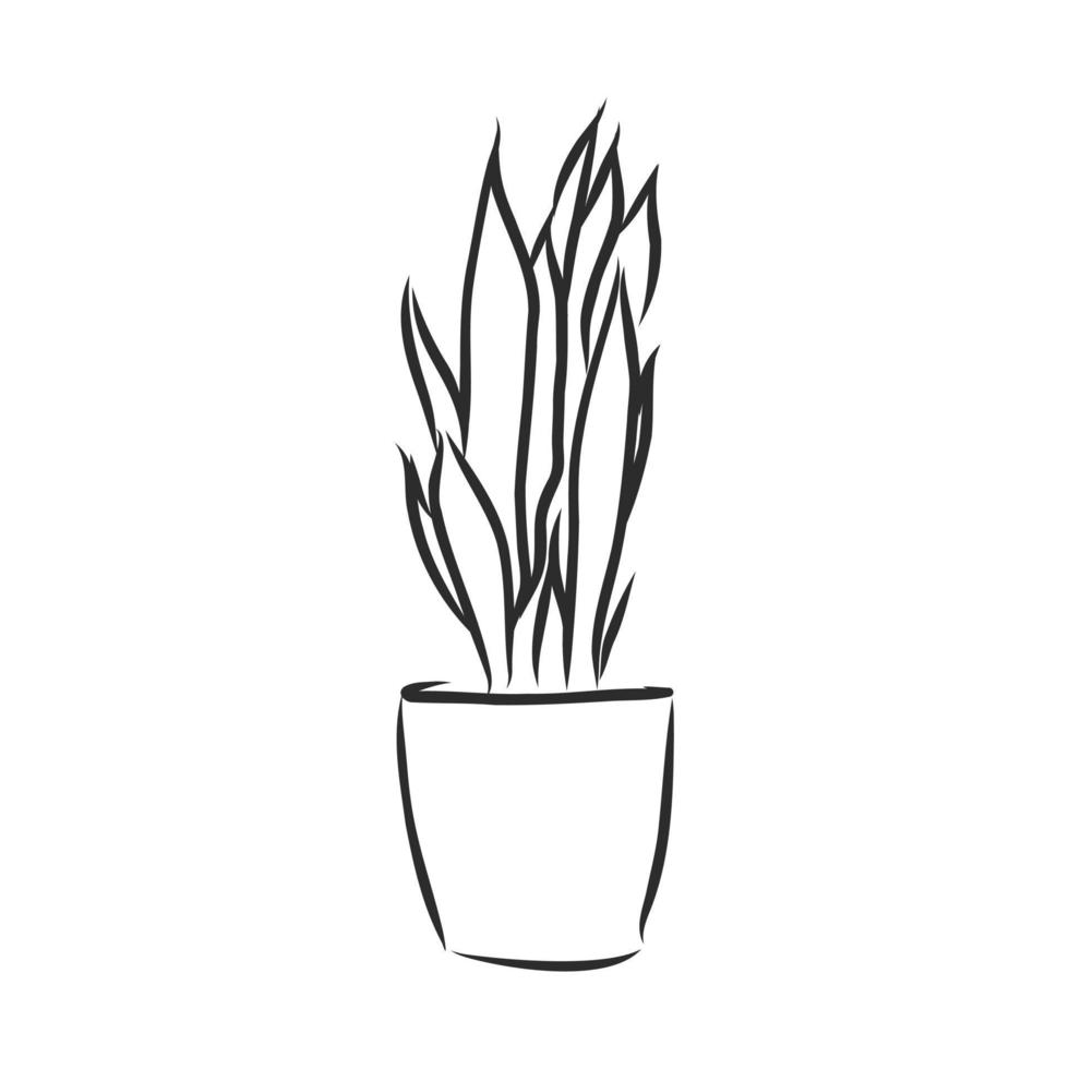 schizzo vettoriale di pianta in vaso