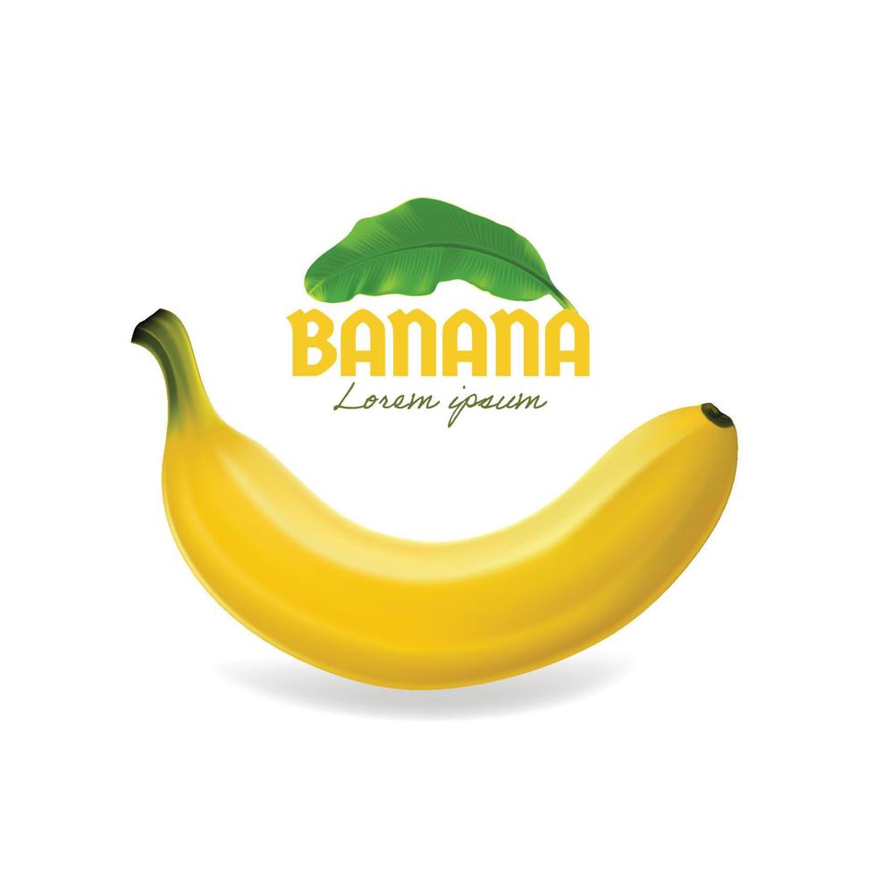 frutti di banana. dessert esotici piante tropicali naturali vettore cibo sano banane