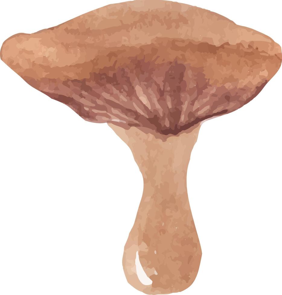 fungo acquerello con cappuccio ondulato vettore isolato disegnato a mano