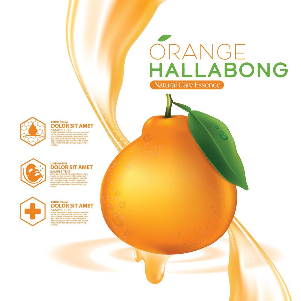 jeju island orange hallabong siero vitaminico idratante per la cura della pelle cosmetico. vettore