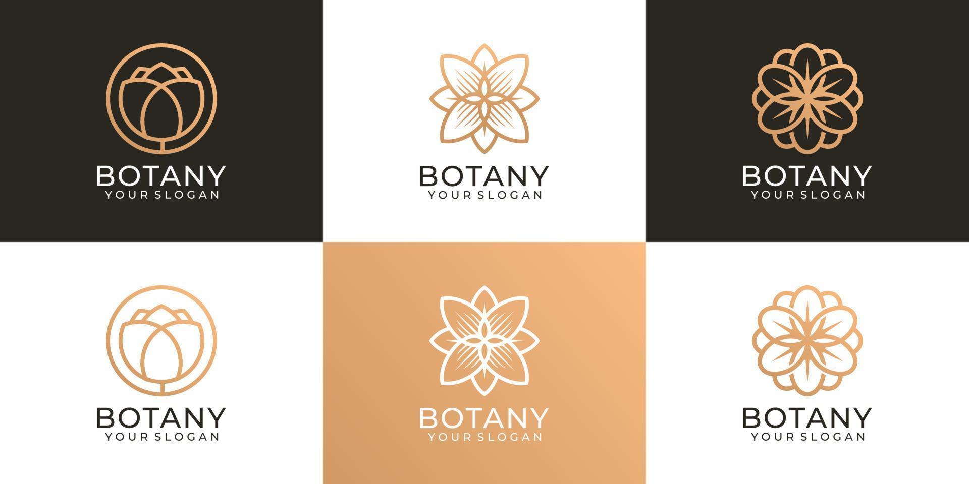 set di natura botanica bellezza fiore femminile logo vettoriale