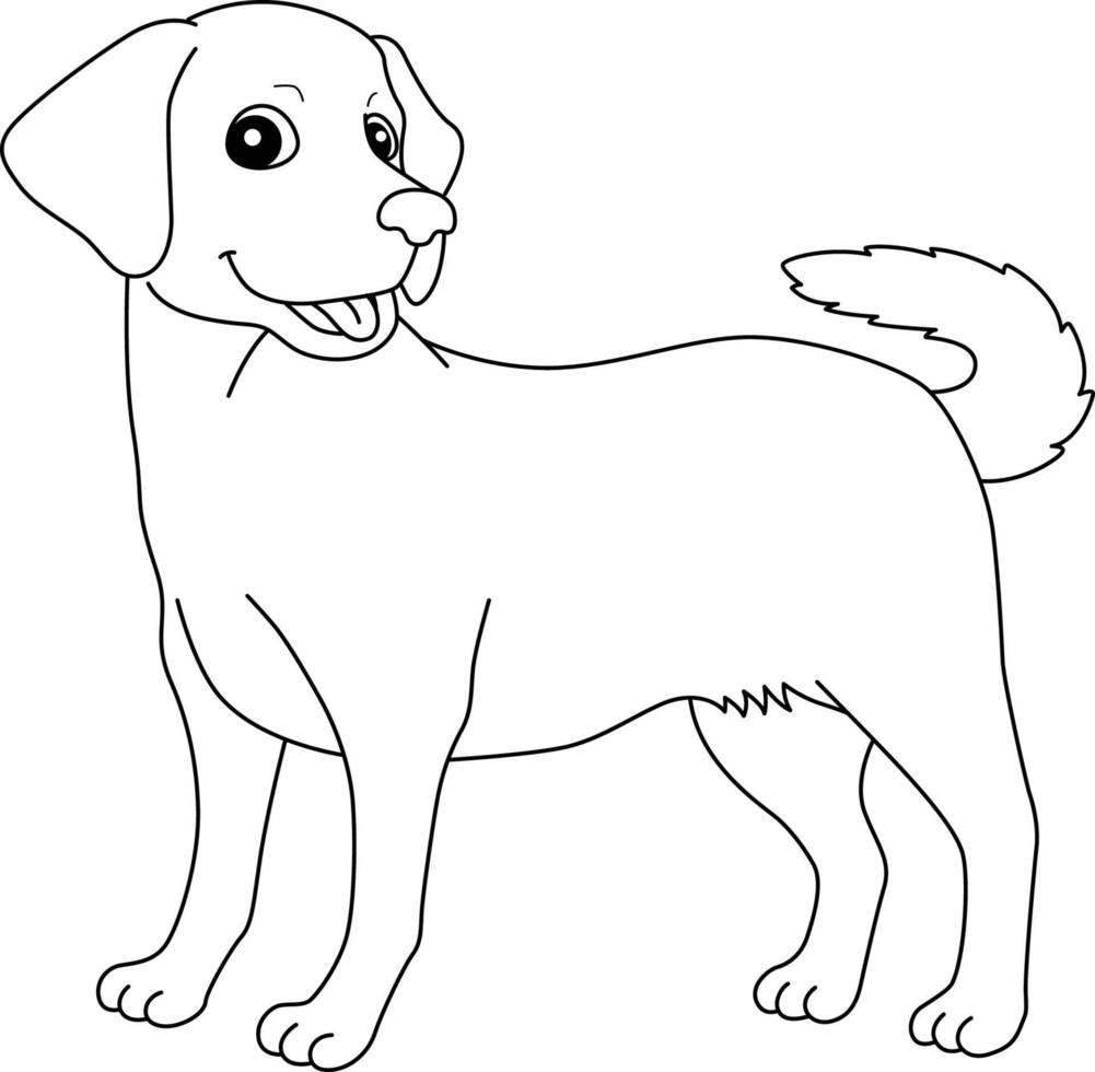 labrador retriever cane isolato da colorare pagina vettore