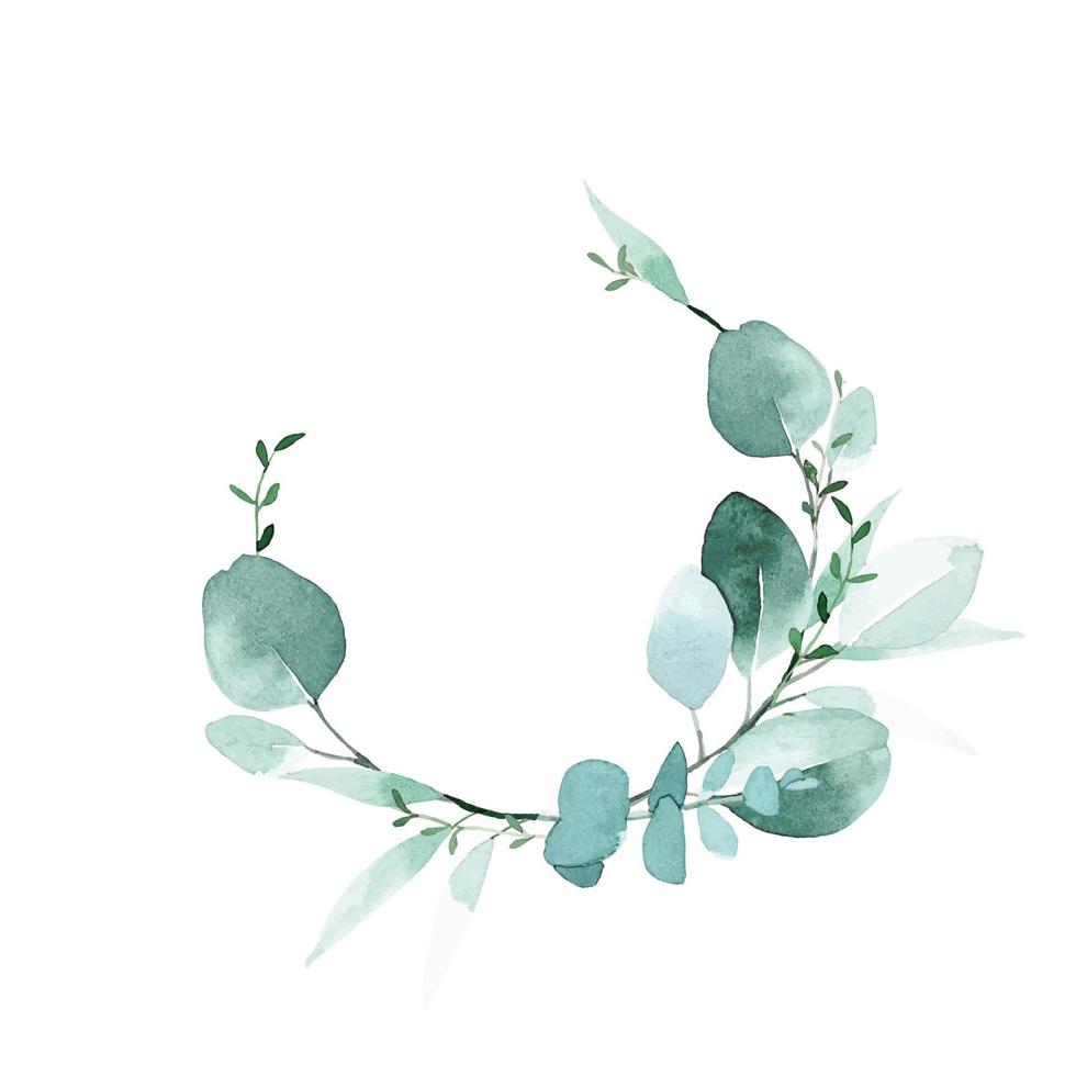 disegno ad acquerello. cornice rotonda in foglie di eucalipto. illustrazione delicata, foglie di eucalipto verde vettore