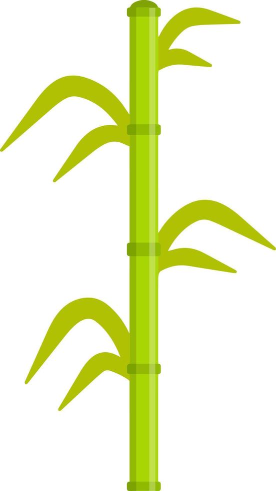 stelo verde della pianta. bastone e ramo asiatici. vettore