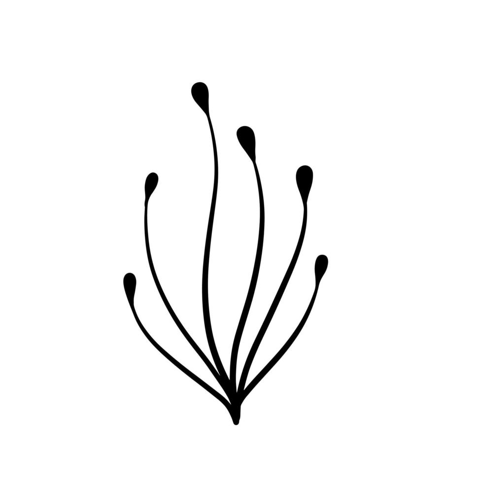 pianta naturale. fiore di doodle astratto. schizzo gambo in bianco e nero con foglie vettore