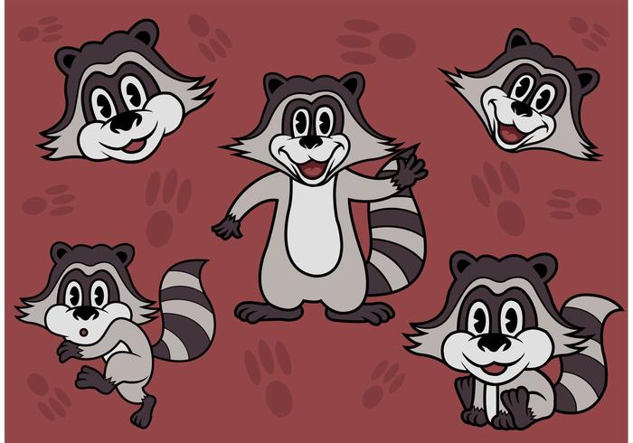 Raccoon Cartoon Vectors