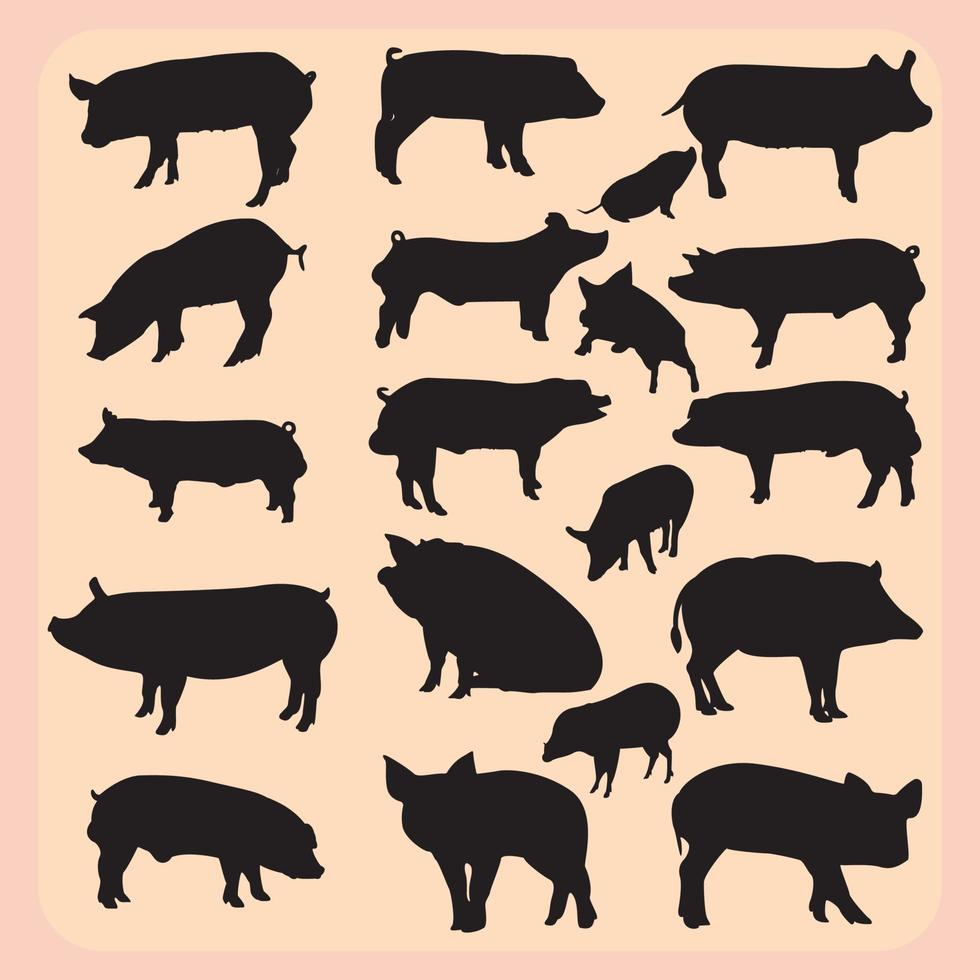 set di icone vettoriali silhouette animale di maiale nero
