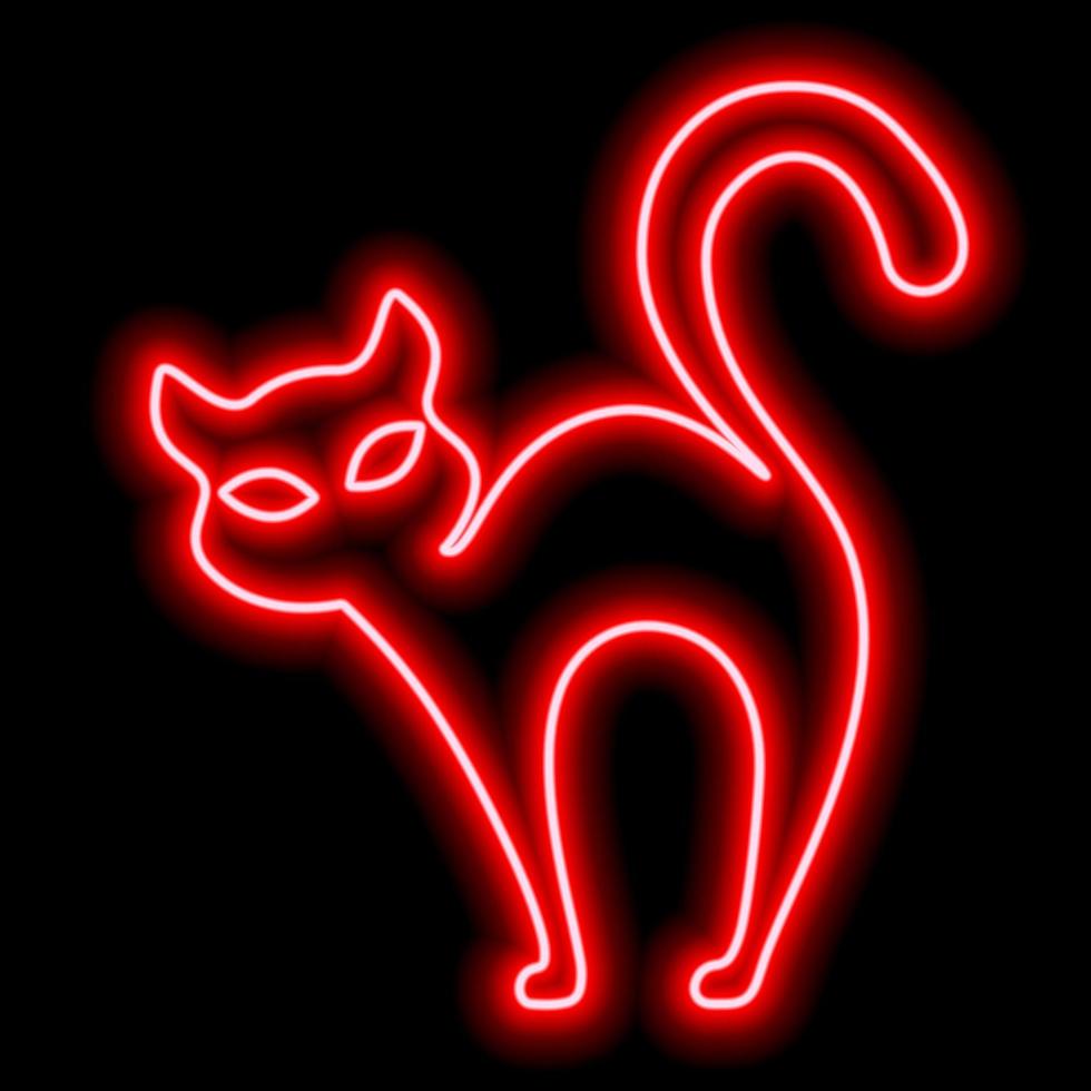 contorno rosso neon di un gatto su sfondo nero. gatto strega, halloween vettore