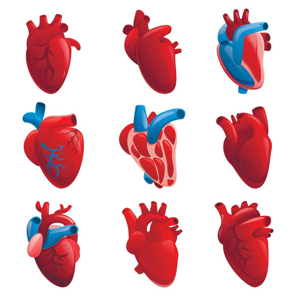 set di icone del cuore umano, stile cartone animato vettore