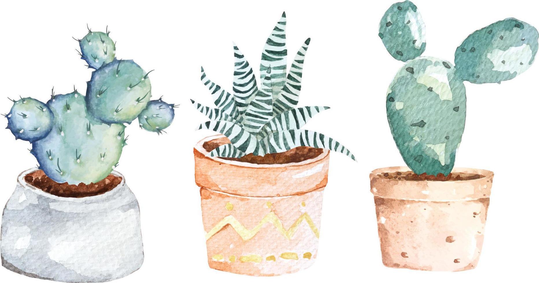 cactus dell'acquerello. piante di cactus in vasi di ceramica. pittura botanica. vettore