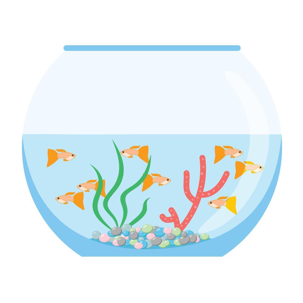 acquario con pesci esotici d'oro che nuotano. habitat dell'acquario sottomarino con piante marine. illustrazione disegnata vettoriale piatta, oggetti isolati.