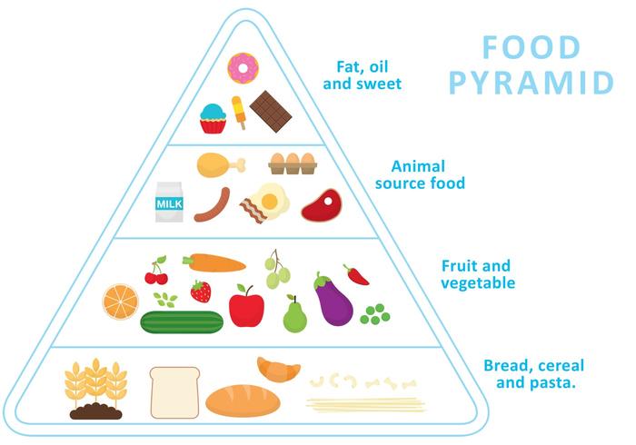 Vettore di piramide alimentare