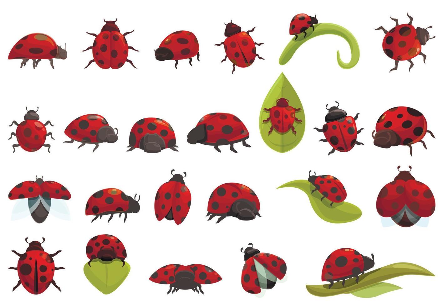 insetto coccinella icone set cartone animato vettore. volare bambini insetto vettore