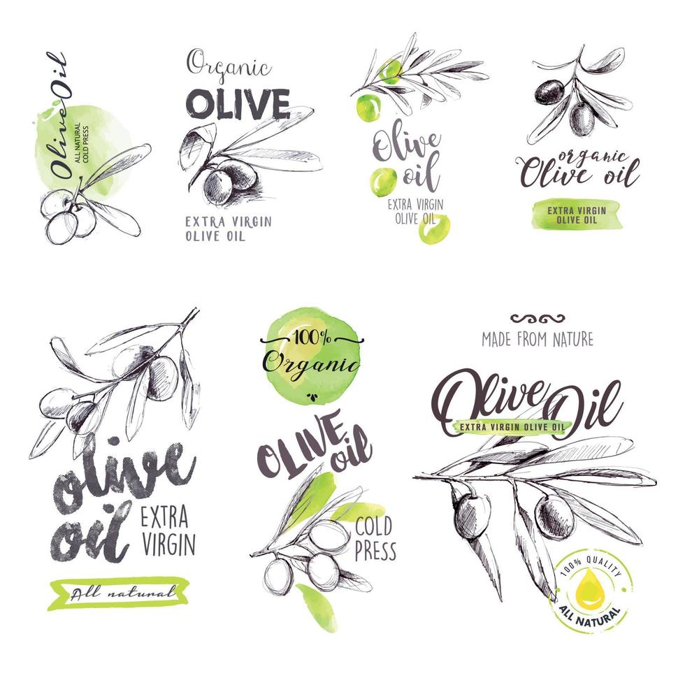set di etichette ad acquerello disegnate a mano e segni di olio d'oliva. illustrazioni vettoriali per etichette di olio d'oliva, packaging design, prodotti naturali, ristorante.