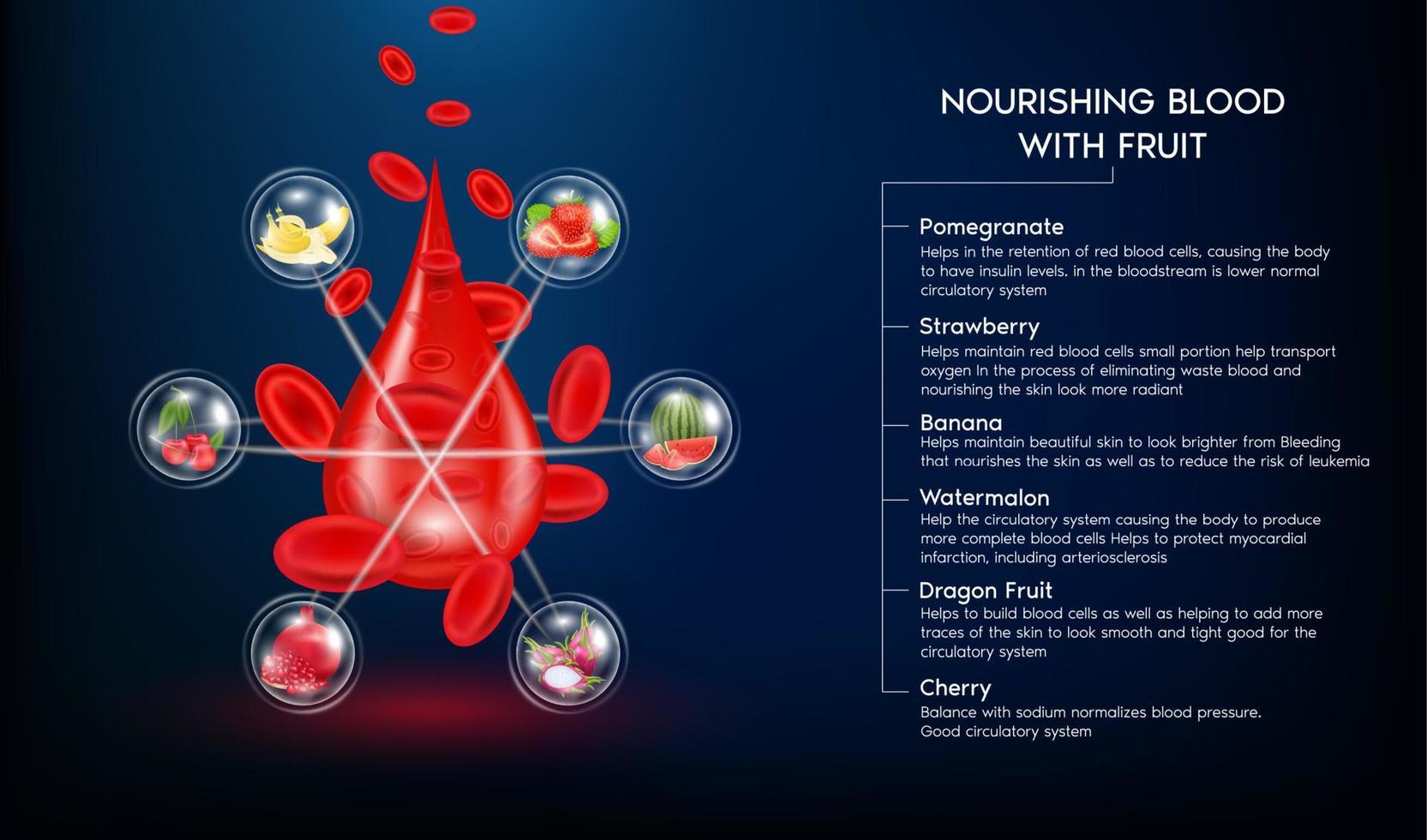 frutta e verdura nutrono il sangue. alimentazione sana e quantità di porzioni corrette. concetto medico. illustrazione 3d vettoriale eps10.