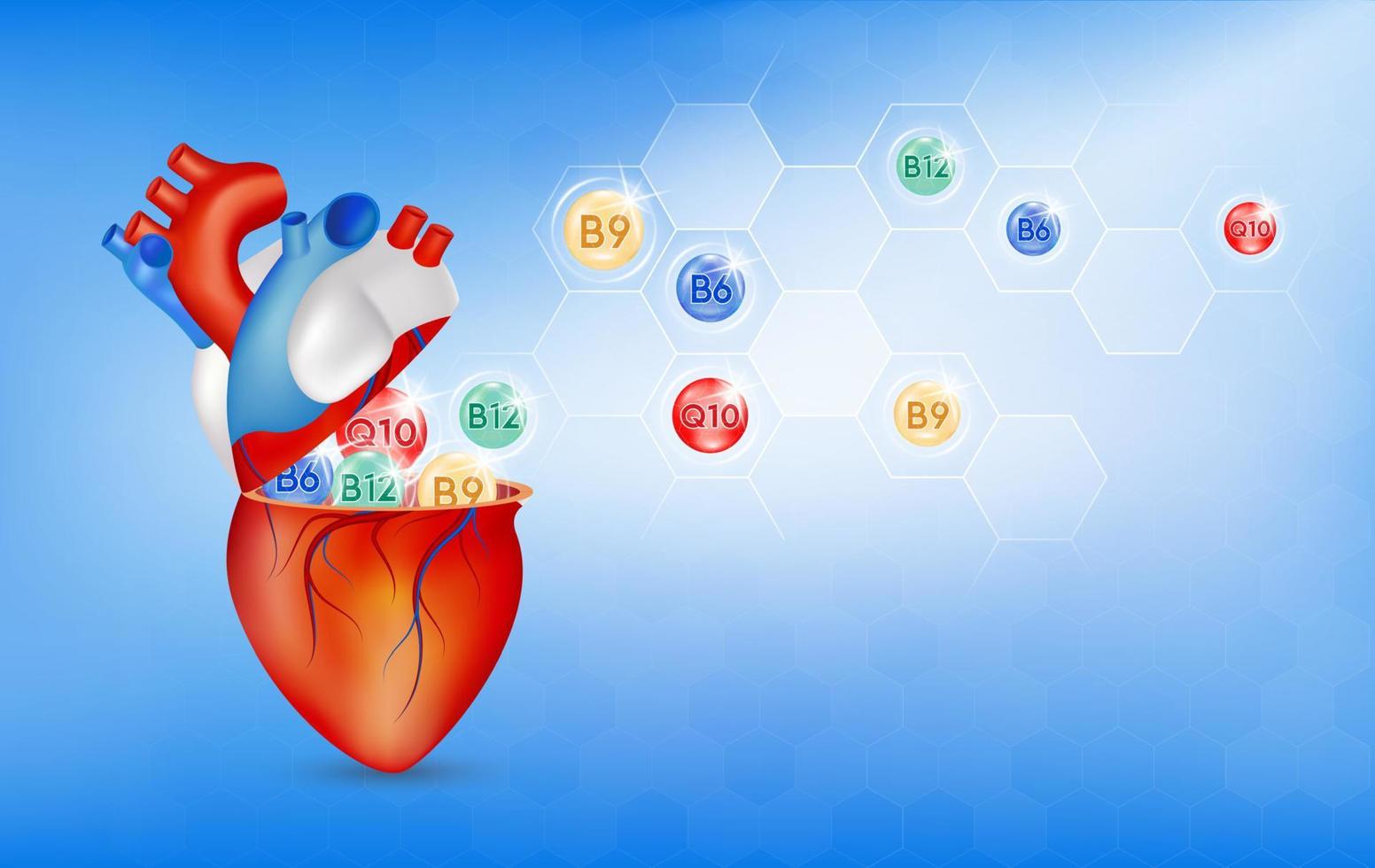 vitamine per il cuore nutrienti essenziali per la salute del cuore principali organi umani con molecolari. vitamina b, coenzima q10. concetti medici e sanitari. 3d vettoriale eps10