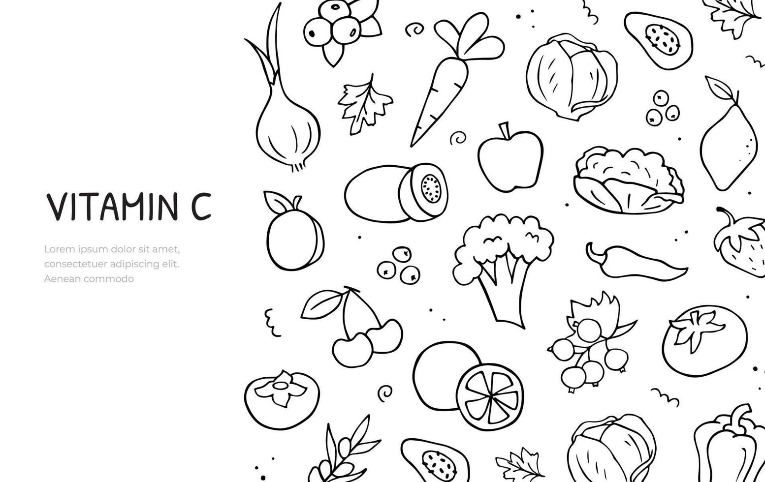 insieme di doodle disegnato a mano del tema delle fonti di vitamina c. modello di banner orizzontale. cibo naturale. contorno in bianco e nero di vettore. vettore