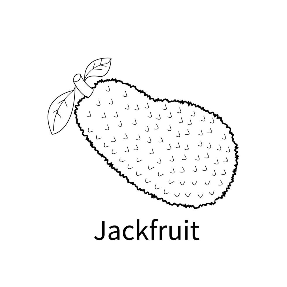 Disegni da colorare di frutta facile per bambini e jackfruit per bambini vettore