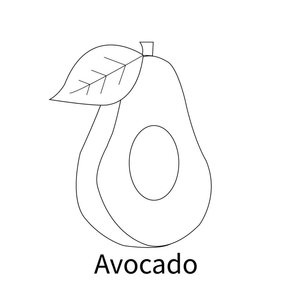 Disegni da colorare di frutta facile per bambini e bambini avocado vettore