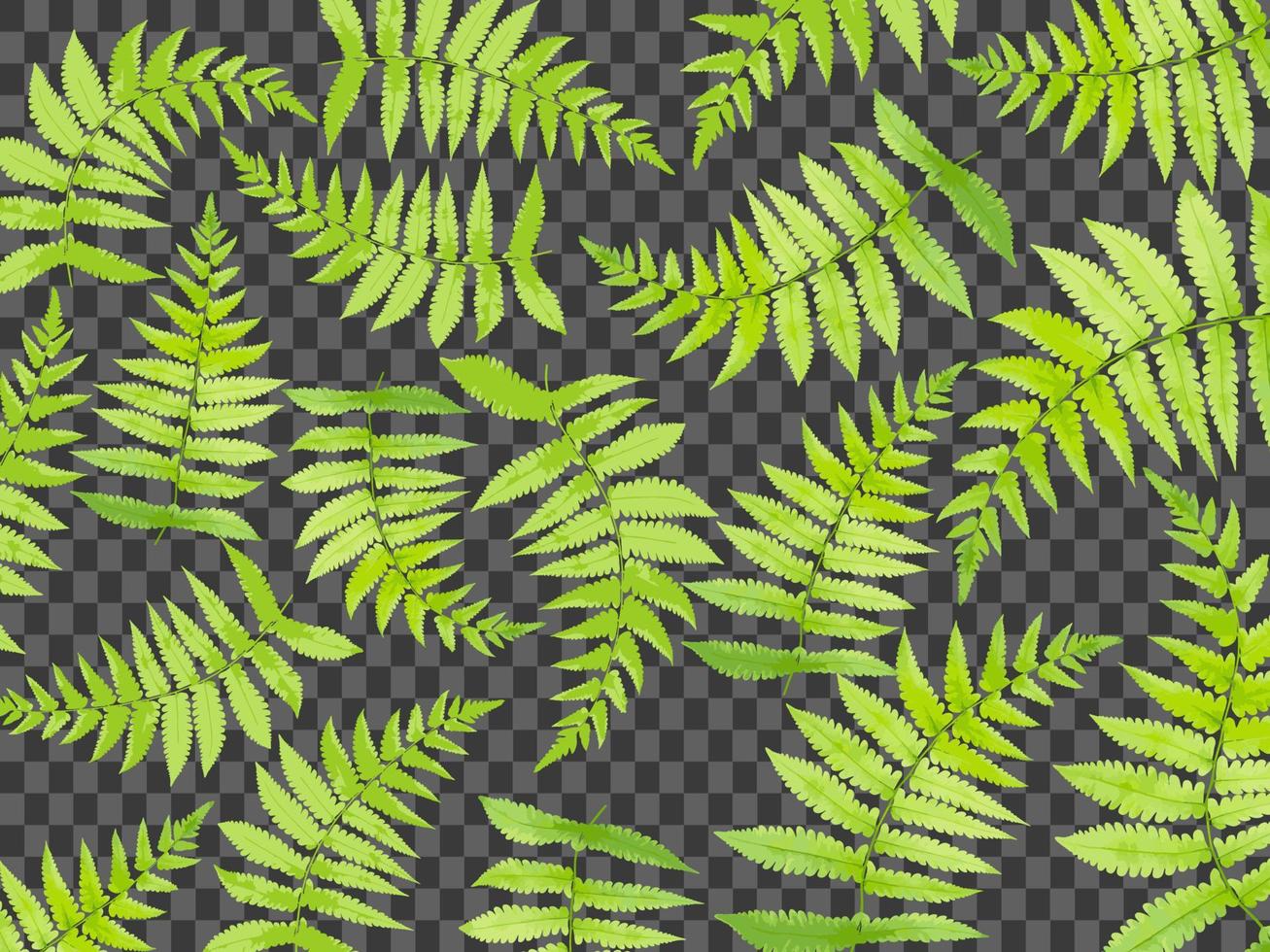 set di foresta tropicale di foglie di felce vettore
