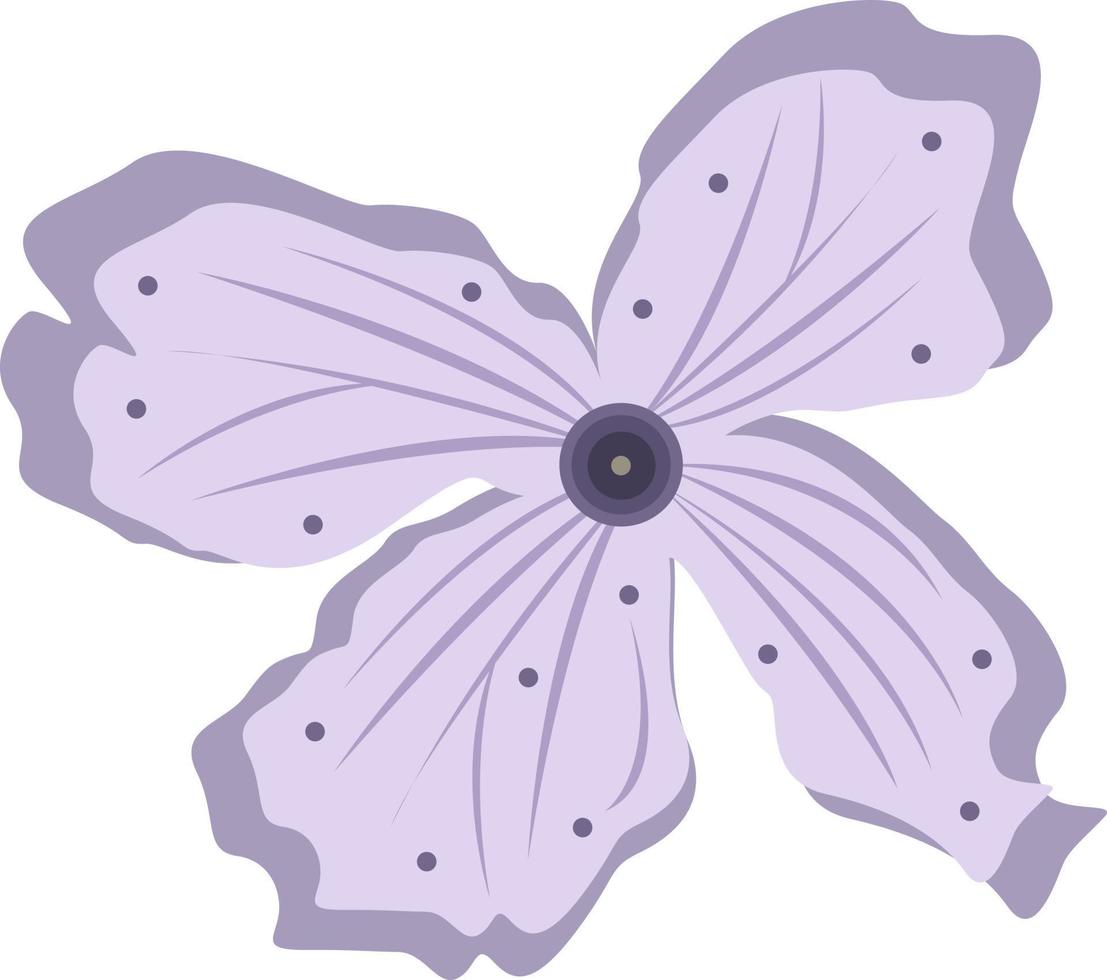 illustrazione del fiore lunaria per la progettazione grafica e l'elemento decorativo vettore