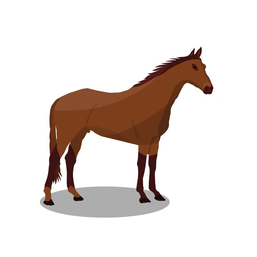 illustrazione vettoriale del fumetto di cavallo su sfondo bianco, animale selvatico.
