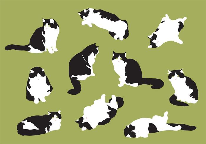 Vettori di gatto grasso disegnati a mano