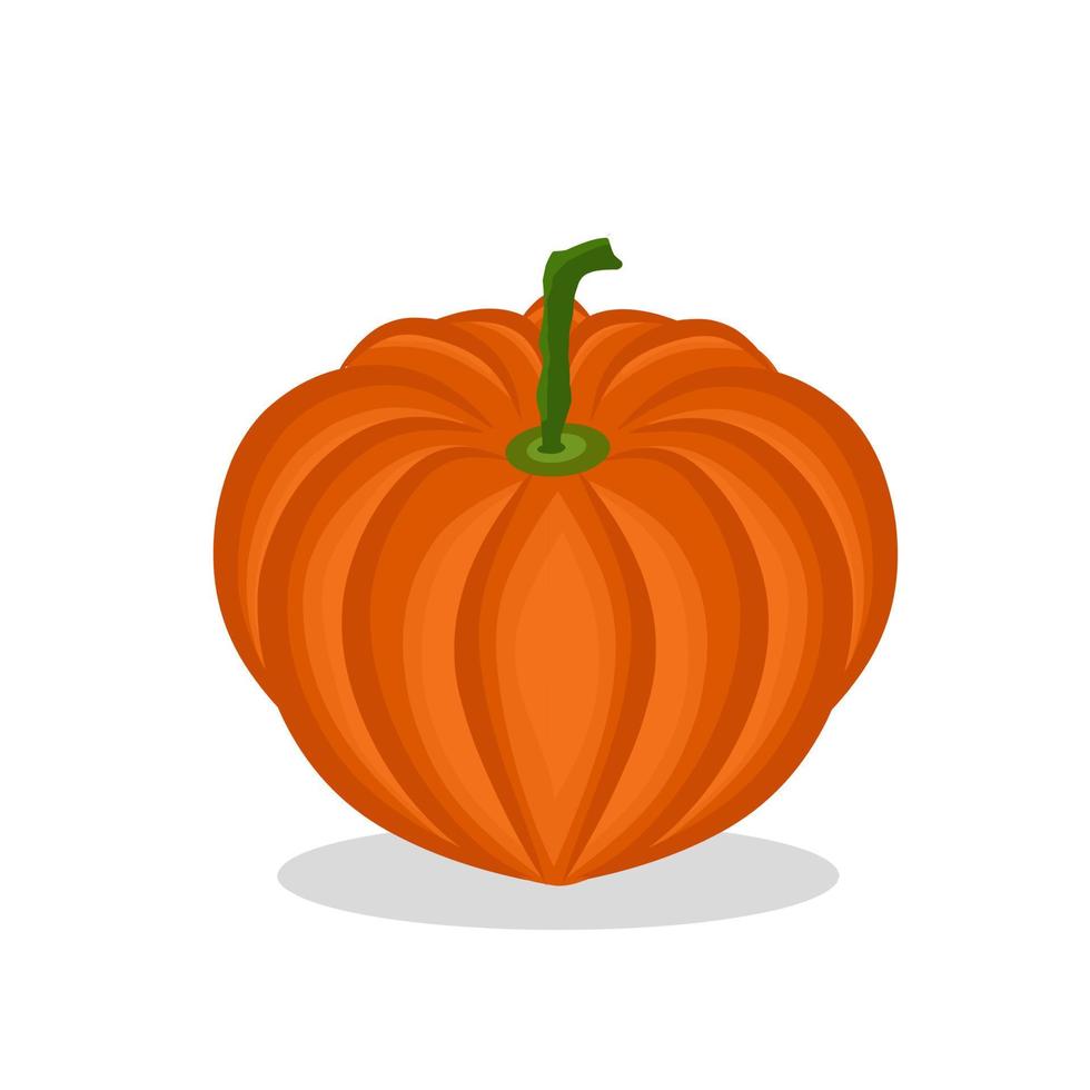 illustrazione della frutta della zucca icona della frutta image.pumpkin, frutta vettore