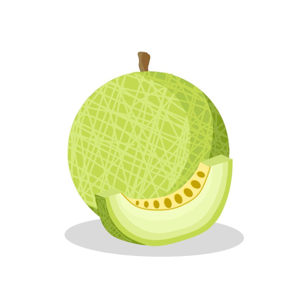 immagine dell'illustrazione della frutta del melone. icona della frutta del melone, frutti vettore