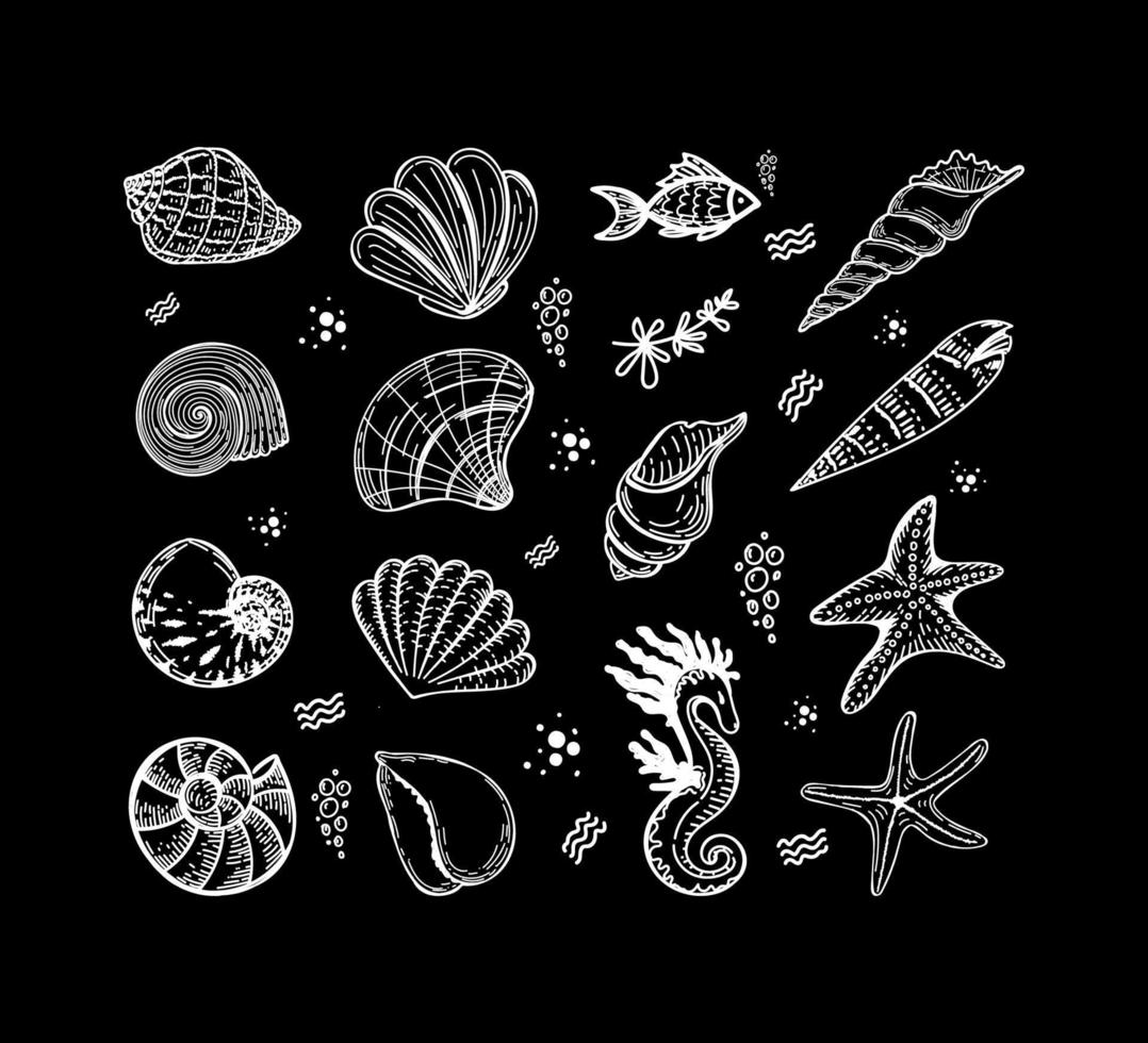 set di creature marine, disegnate a mano in stile schizzo. conchiglie, alghe, pesci, stelle marine e cavalluccio marino. animali marini. mare. oceano. vettore isolato su sfondo nero