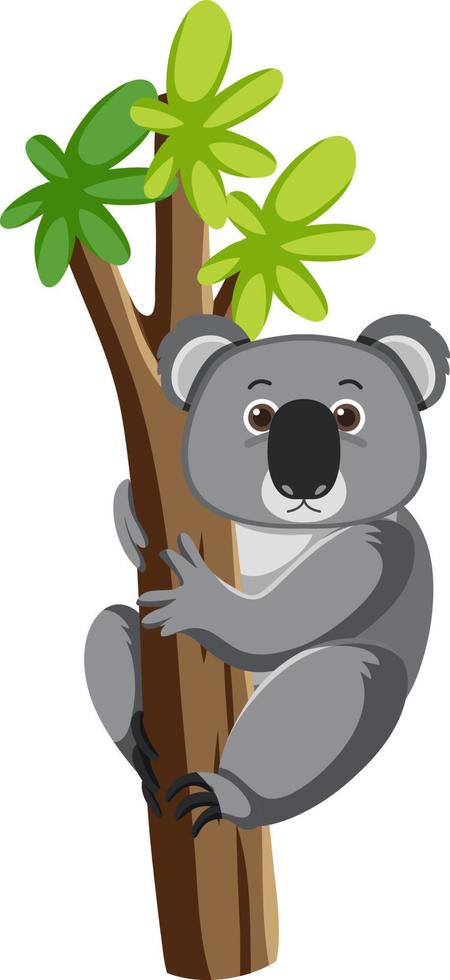 koala sul personaggio dei cartoni animati dell'albero vettore