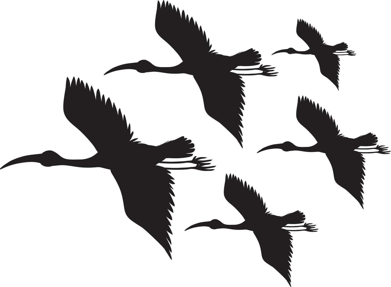 silhouette cicogna uccelli che volano vettore