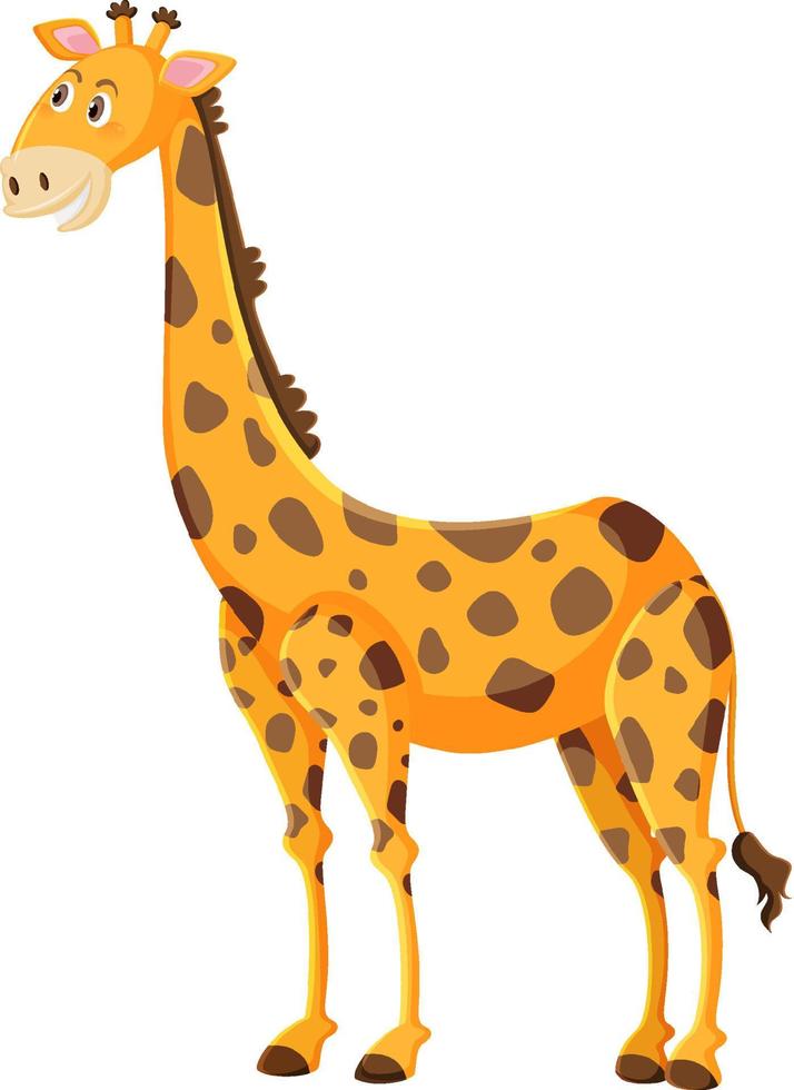 simpatico cartone animato giraffa su sfondo bianco vettore