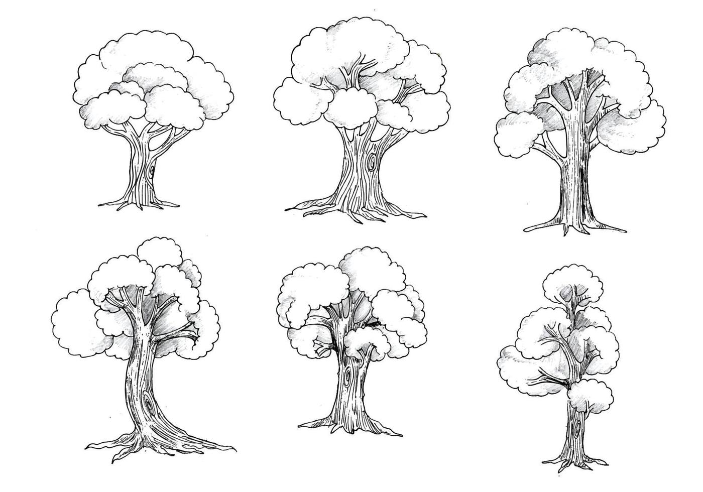 disegno dell'illustrazione dello schizzo dell'insieme degli alberi di tiraggio della mano vettore