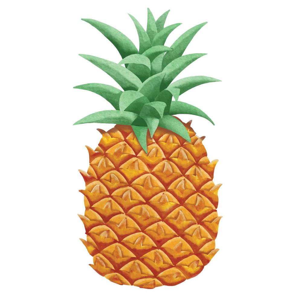 ananas acquerello disegnato a mano, pittura di frutta tropicale esotica, illustrazione vettoriale