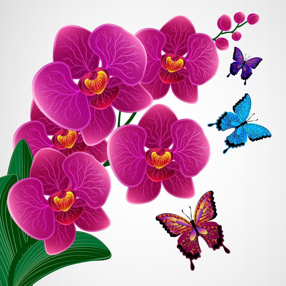 sfondo di disegno floreale. fiori di orchidea con farfalle. vettore
