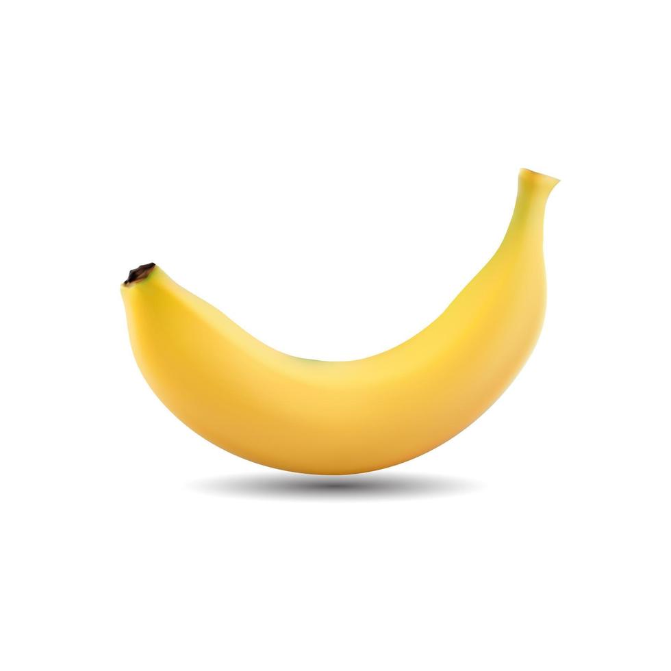 banana su sfondo bianco illustrazione vettoriale