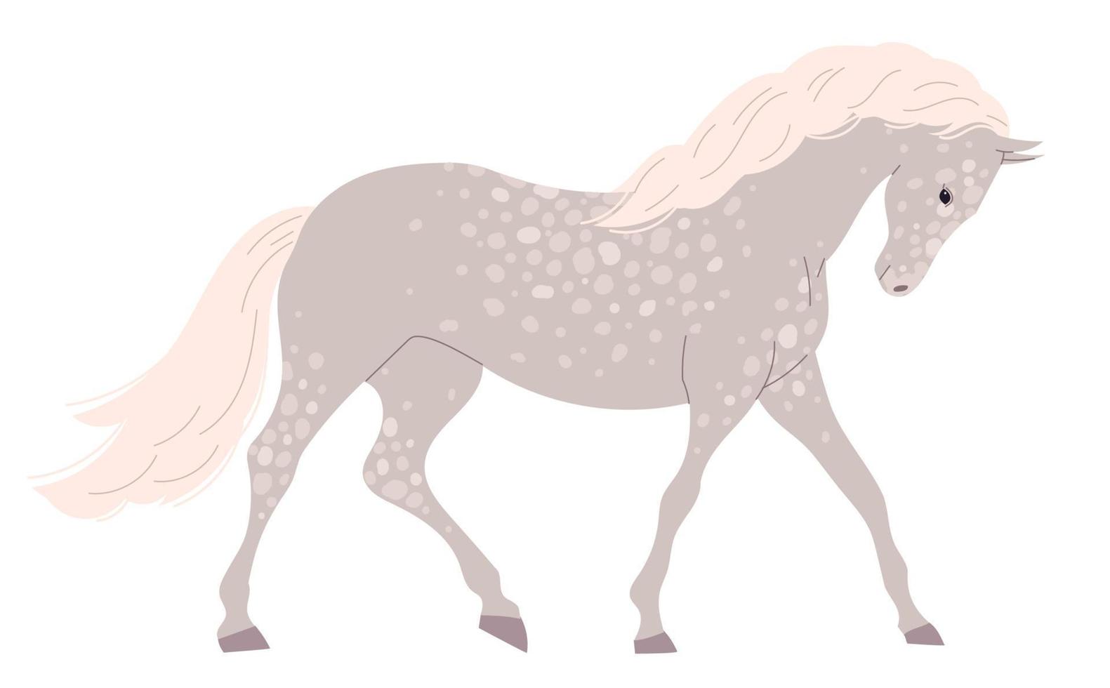 cavallo grigio chiaro con molte piccole macchie vettore