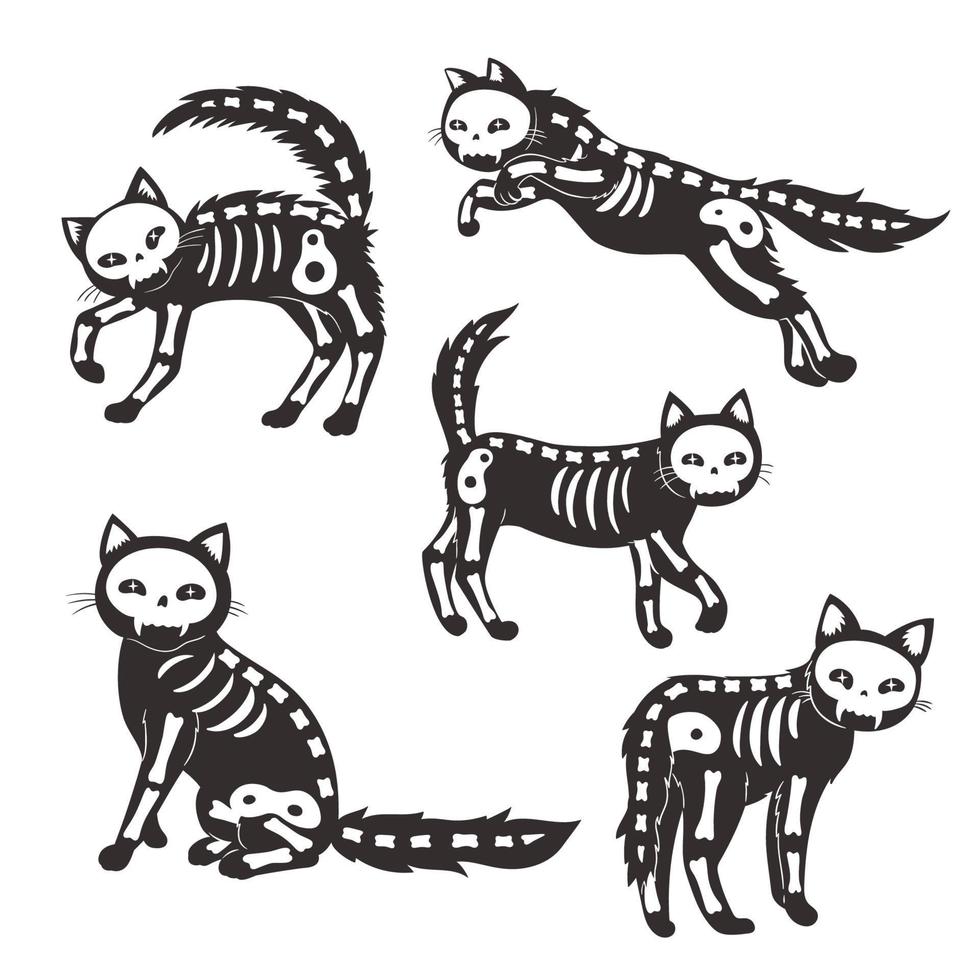 set di scheletri di gatti isolati su sfondo bianco. grafica vettoriale