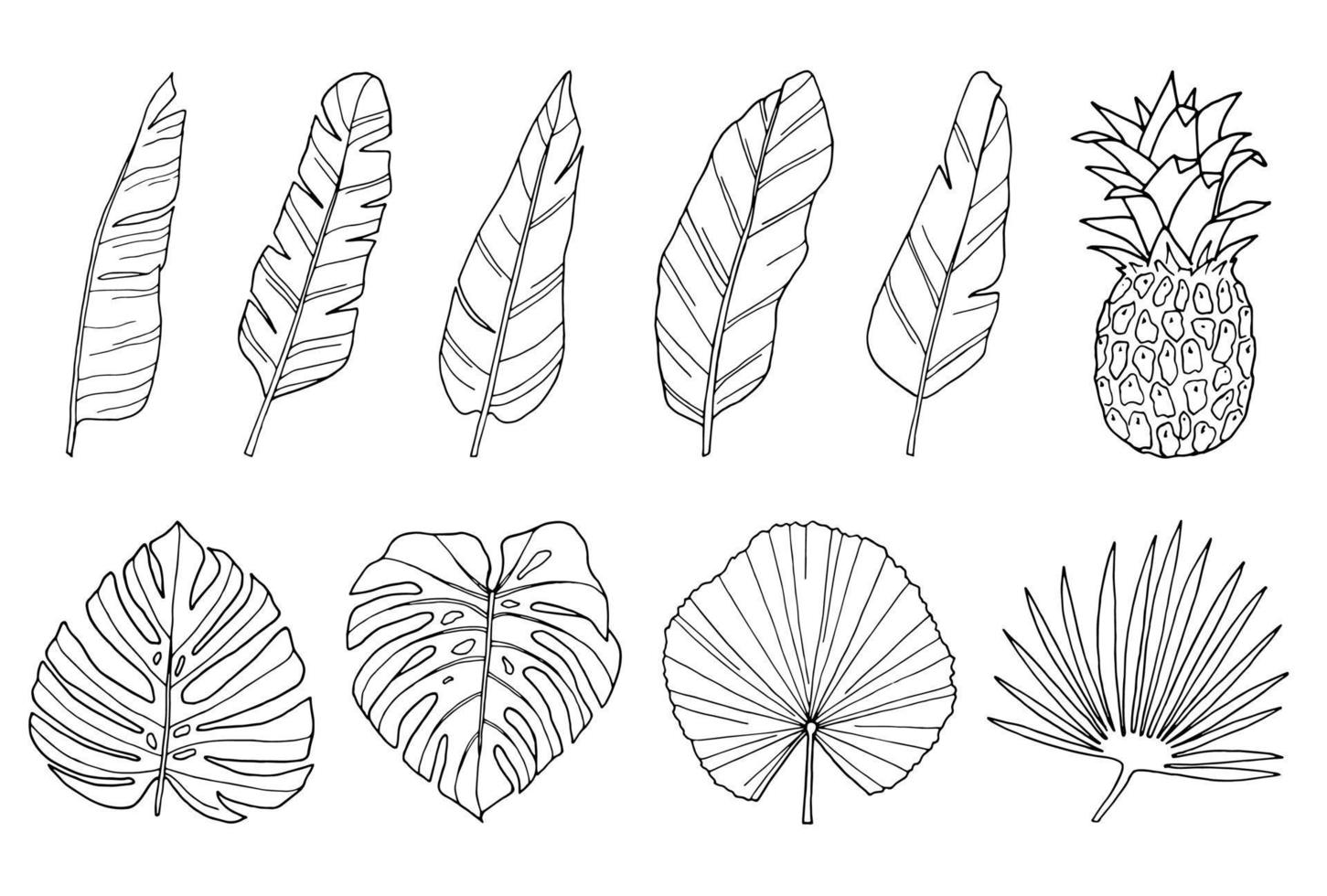 illustrazioni disegnate a mano in foglia di palma insieme di foglie esotiche tropicali nere di linea arte isolate su bianco vettore