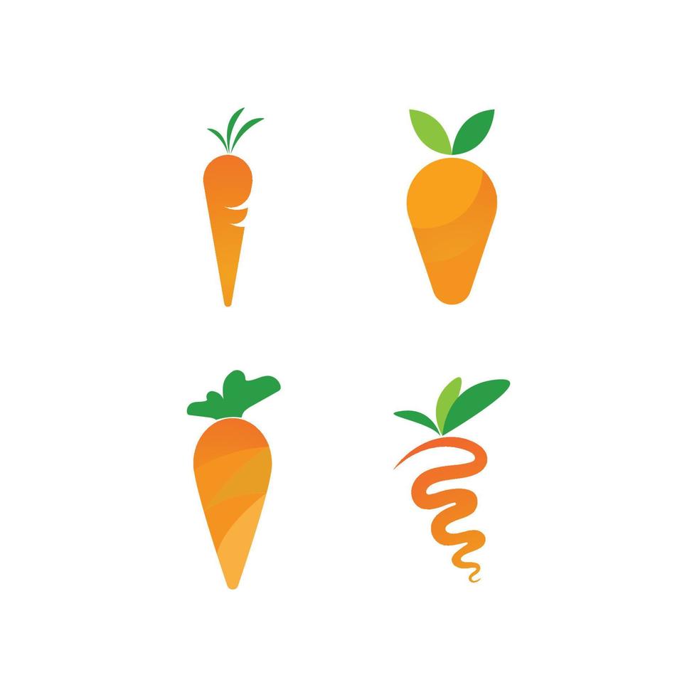 vettore di logo di carota