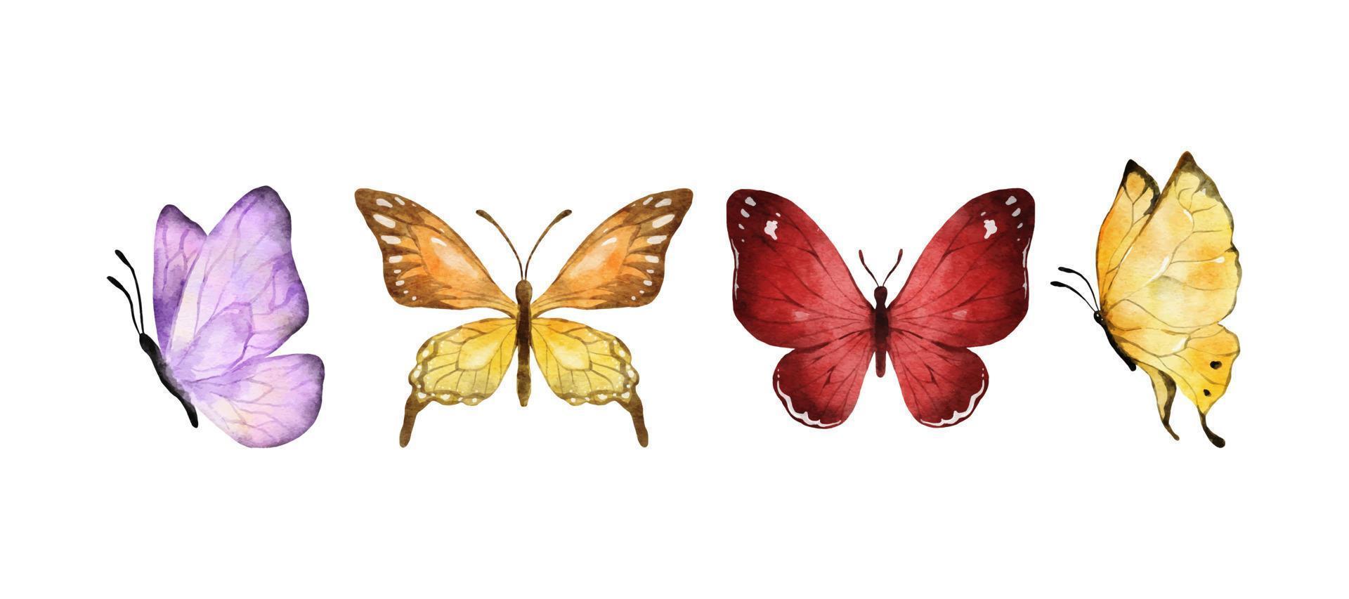 acquerello di farfalle colorate isolato su sfondo bianco. farfalla viola, arancione, gialla e rossa. illustrazione vettoriale animale primaverile