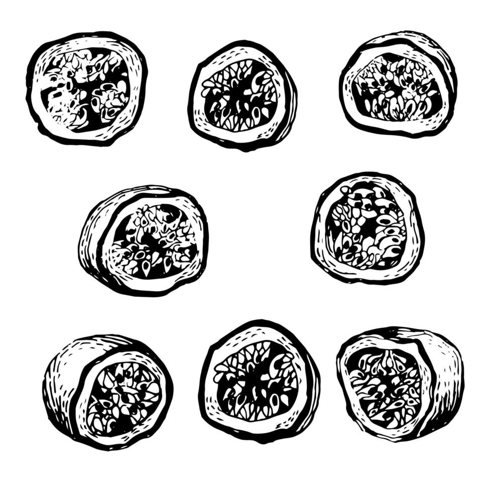 illustrazione grafica vettoriale del frutto della passione isolato su sfondo bianco