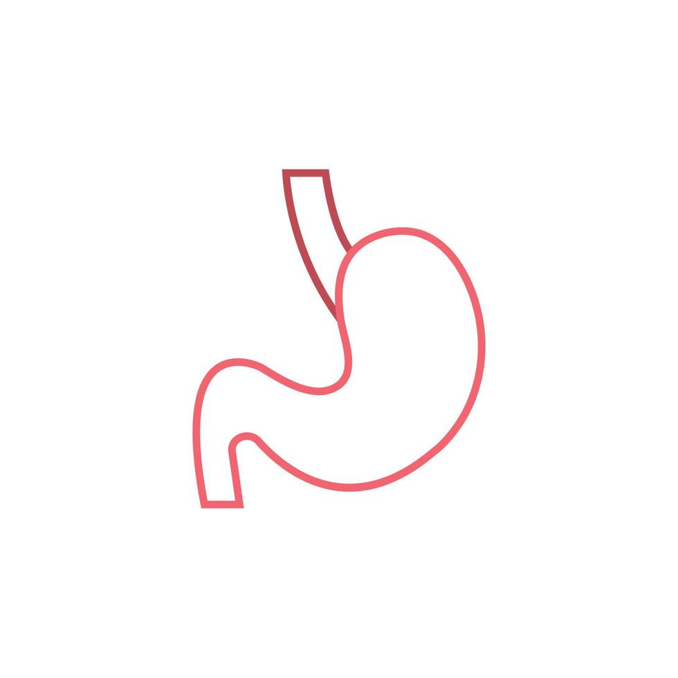 vettore dello stomaco per la presentazione dell'icona del simbolo del sito Web